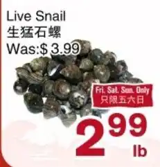 First Choice Supermarket Live Snail offer