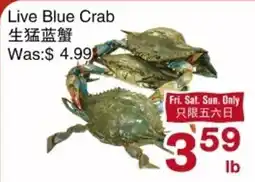 First Choice Supermarket Live Blue Crab offer