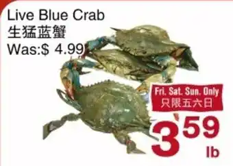 Live Blue Crab