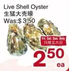 First Choice Supermarket Live Shell Oyster offer