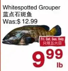 First Choice Supermarket Whitespotted Grouper offer