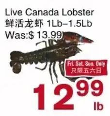 First Choice Supermarket Live Canada Lobster offer