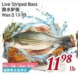 Tone Tai Supermarket Live Striped Bass offer