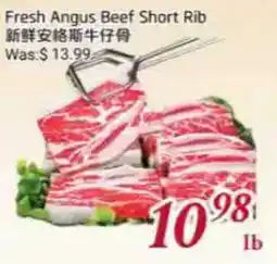 Tone Tai Supermarket Fresh Angus Beef Short Rib offer