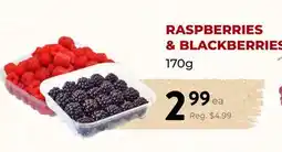 Marche Leo's RASPBERRIES & BLACKBERRIES offer