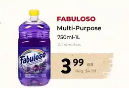 Marche Leo's FABULOSO Multi-Purpose offer