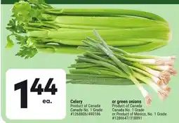 Giant Tiger Celery offer