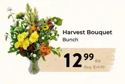 Marche Leo's Harvest Bouquet Bunch offer
