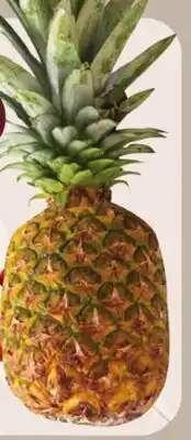 Giant Tiger Pineapple offer