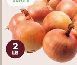 Giant Tiger 2 lb yellow onions offer