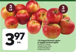 Giant Tiger 3 lb bagged McIntosh apples or bagged Cortland apples offer