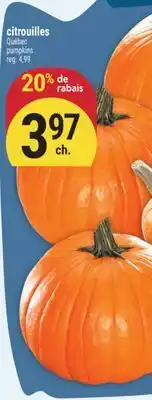 Marché Adonis CITROUILLES | PUMPKINS offer