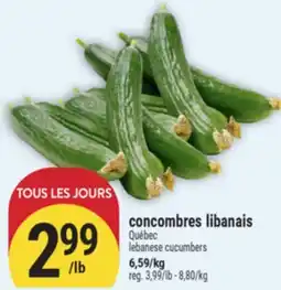 Marché Adonis CONCOMBRES LIBANAIS | LEBANESE CUCUMBERS offer