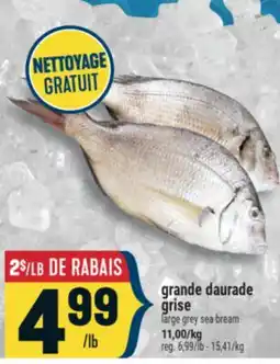 Marché Adonis GRANDE DAURADE GRISE | LARGE GREY SEA BREAM offer