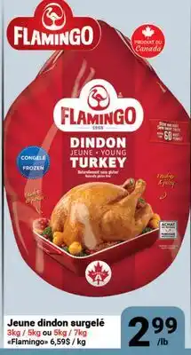 Pasquier Flamingo Young Turkey offer