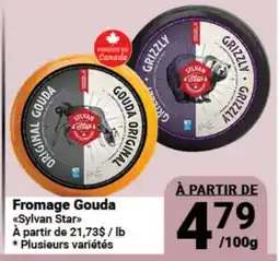 Pasquier Fromage Gouda Sylvan Star offer