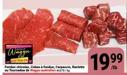 Pasquier Fondue chinoise, Cubes à fondue, Carpaccio, Raclette ou Tourneidos de Wagyu australien offer