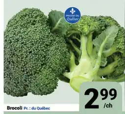 Pasquier Brocoli offer