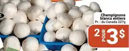 Pasquier Champignons blancs entiers offer