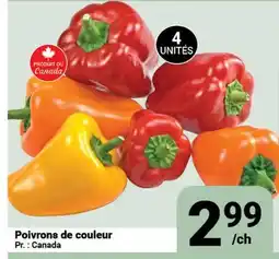 Pasquier Poivrons de couleur offer