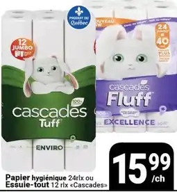 Pasquier Papier hygiénique 24 rlx ou Essuie-tout 12 rlx Cascades offer