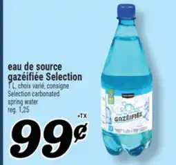 Marché Richelieu eau de source gazéifiée Selection | Selection carbonated spring water offer