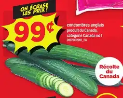 Maxi CONCOMBRES ANGLAIS offer