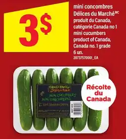 Maxi MINI CONCOMBRES DÉLICES DU MARCHÉ | MINI CUCUMBERS, 6 UN offer