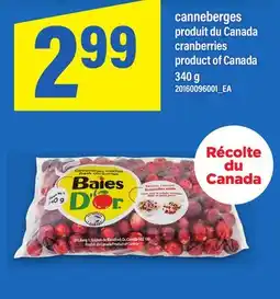 Maxi CANNEBERGES | CRANBERRIES offer