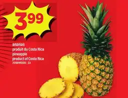 Maxi ANANAS | PINEAPPLE offer