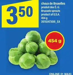 Maxi CHOUX DE BRUXELLES | BRUSSELS SPROUTS offer