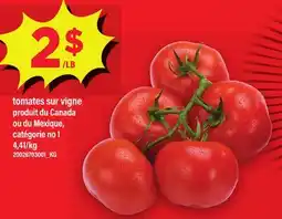 Maxi TOMATES SUR VIGNE offer