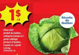 Maxi CHOU VERT | GREEN CABBAGE offer