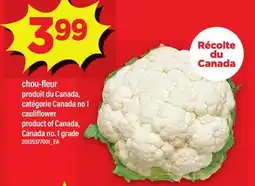 Maxi CHOU-FLEUR | CAULIFLOWER offer