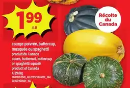 Maxi COURGE POIVRÉE, BUTTERCUP, MUSQUÉE OU SPAGHETTI | ACORN, BUTTERNUT, BUTTERCUP OR SPAGHETTI SQUASH offer