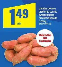 Maxi PATATES DOUCES | SWEET POTATOES offer
