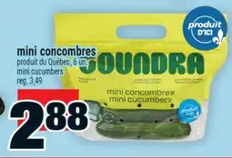 Super C mini concombres | mini cucumbers offer