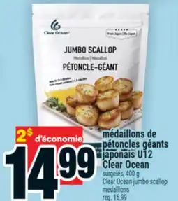 Super C médaillons de pétoncles géants japonais U12 Clear Ocean | Clear Ocean jumbo scallop medallions offer