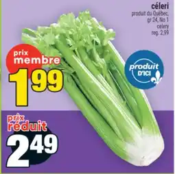 Super C céleri | celery offer