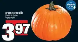 Super C grosse citrouille | large pumpkin offer
