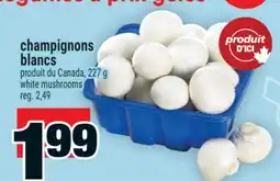 Super C champignons blancs | white mushrooms offer