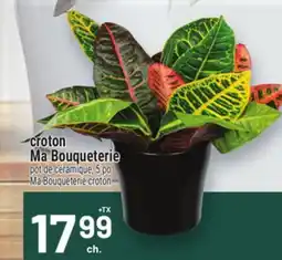 Metro CROTON MA BOUQUETERIE | MA BOUQUETERIE CROTON offer