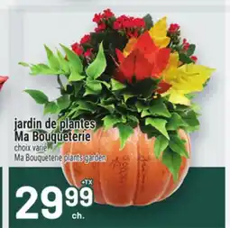 Metro JARDIN DE PLANTES MA BOUQUETERIE | MA BOUQUETERIE PLANTS GARDEN offer
