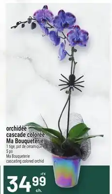 Metro orchidée cascade colorée Ma Bouqueterie offer