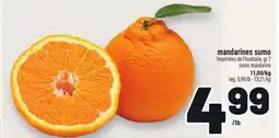 Metro MANDARINES SUMO | SUMO MANDARINS offer