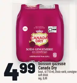 Metro BOISSON GAZEUSE CANADA DRY | SOFT DRINK offer