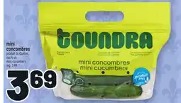 Metro MINI CONCOMBRES | MINI CUCUMBERS offer