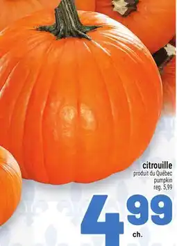 Metro CITROUILLE | PUMPKIN offer