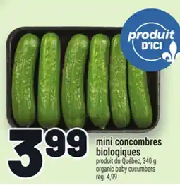 Metro MINI CONCOMBRES BIOLOGIQUES | ORGANIC BABY CUCUMBERS offer