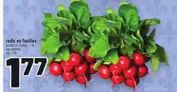 Metro RADIS EN FEUILLES | TOP RADISHES offer